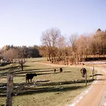 Weideblick Gaensberg Apartamento Blaibach