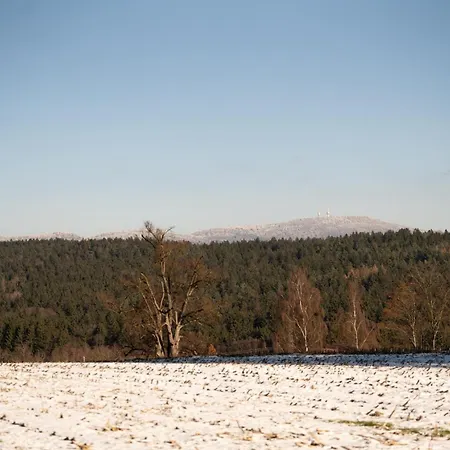 Weideblick Gaensberg Lejlighed Blaibach
