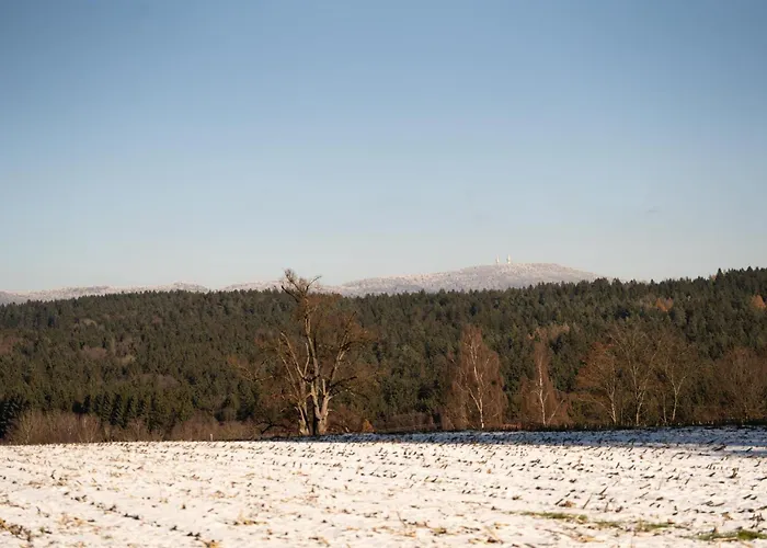 Weideblick Gaensberg Апартаменты Blaibach